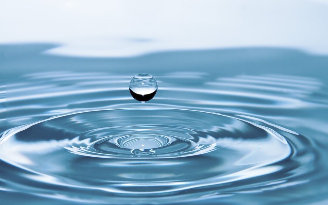 The Search for Personal Purity