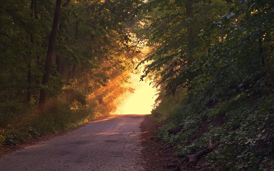 Finding Your Way in the Will of God