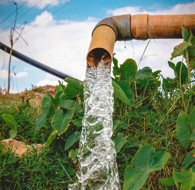 How to Keep Your Pump Primed