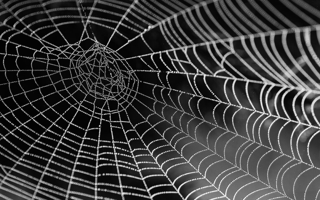 Why We Do Not Fear