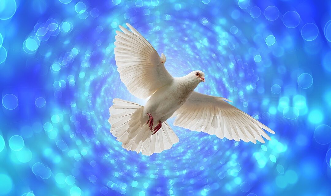 Whatever Happened to the Dove?