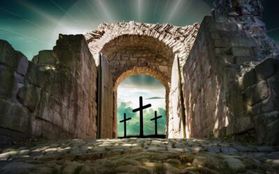 Two Revelation Portals