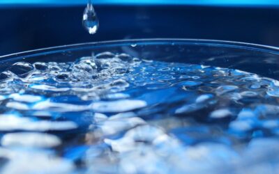 Who Will Draw the Thirsty a Drink?