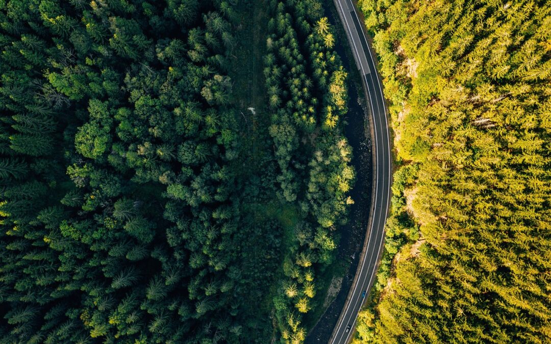 Highway or Byway: Which?
