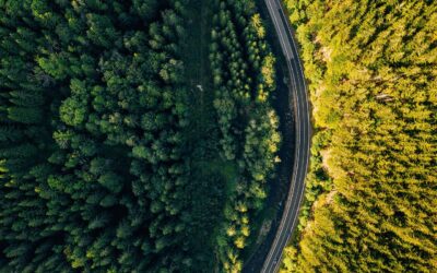 Highway or Byway: Which?
