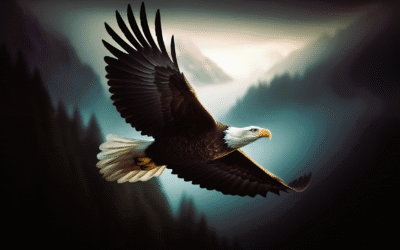 Wings of Eagles