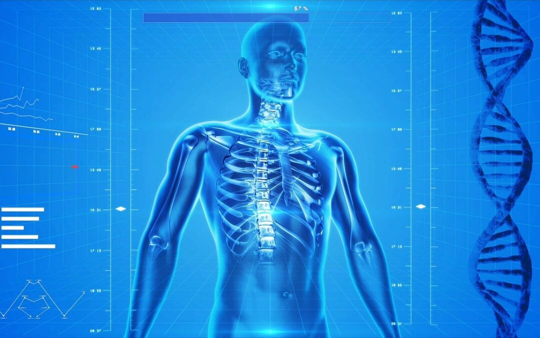 The 5 Body Systems Compared to the 5 Body Gifts