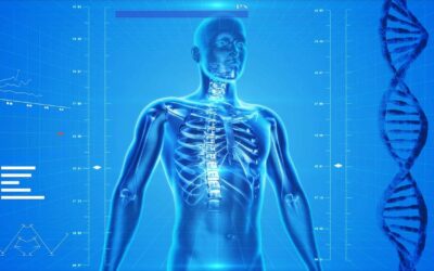 The 5 Body Systems Compared to the 5 Body Gifts