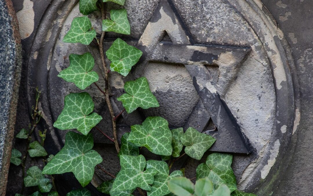 Can a Church Also Be ‘Born in a Day’?