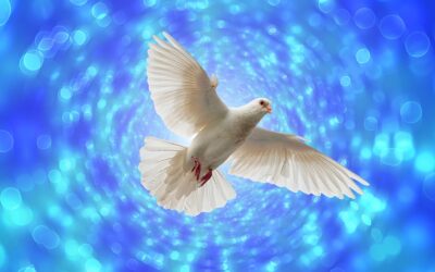 Five Things the Holy Spirit Brings