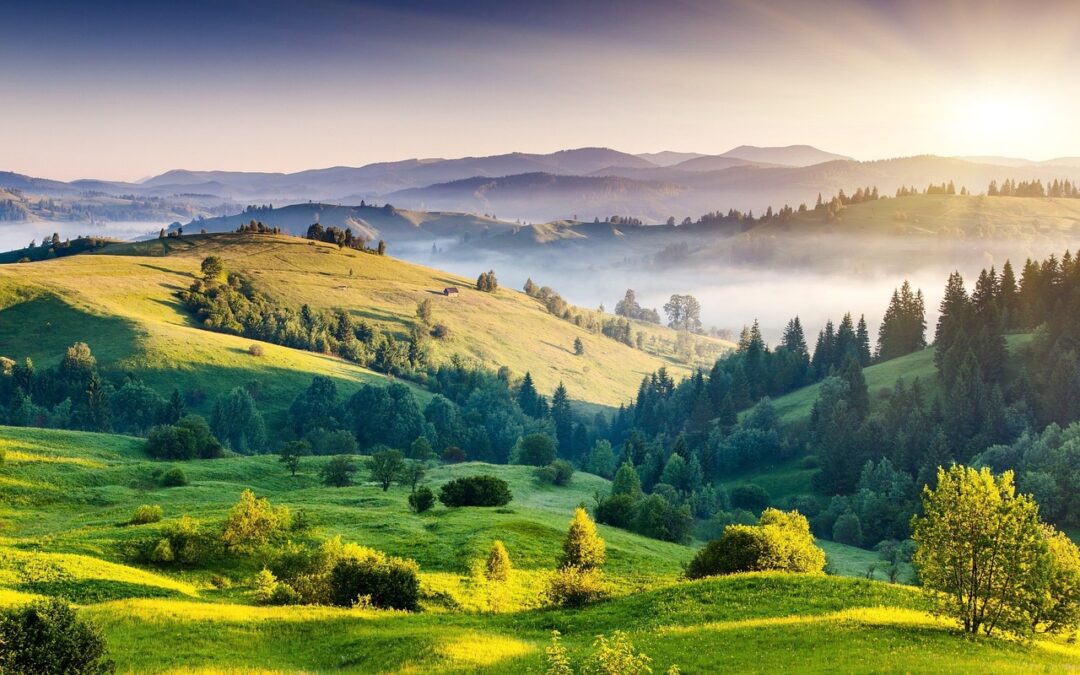 How Green was My Valley!