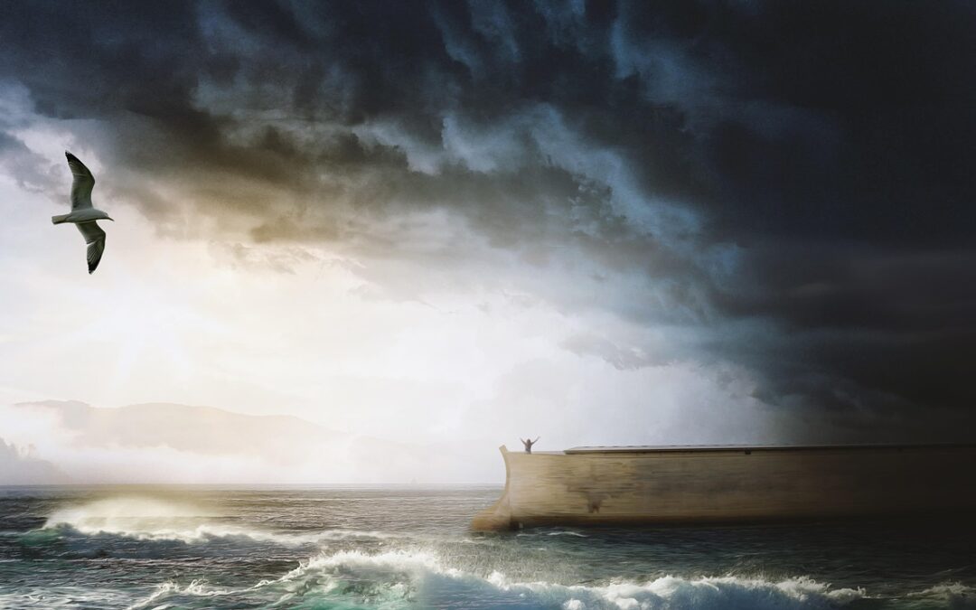 Are You Building an Ark of Faith?