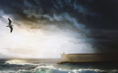 Are You Building an Ark of Faith?