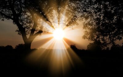 Why Did Jesus Choose to Minister in Galilee?