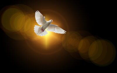 The Call of God to Ministry