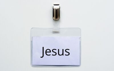 What’s in a Name…I Mean, The Name?