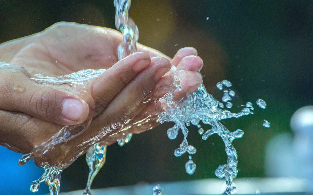 The Pure Stream of Prophetic Promise