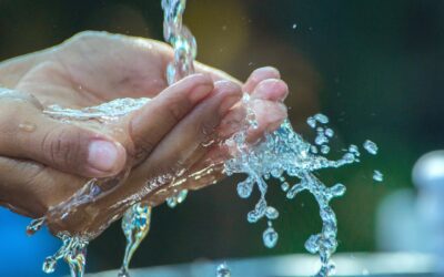 The Pure Stream of Prophetic Promise