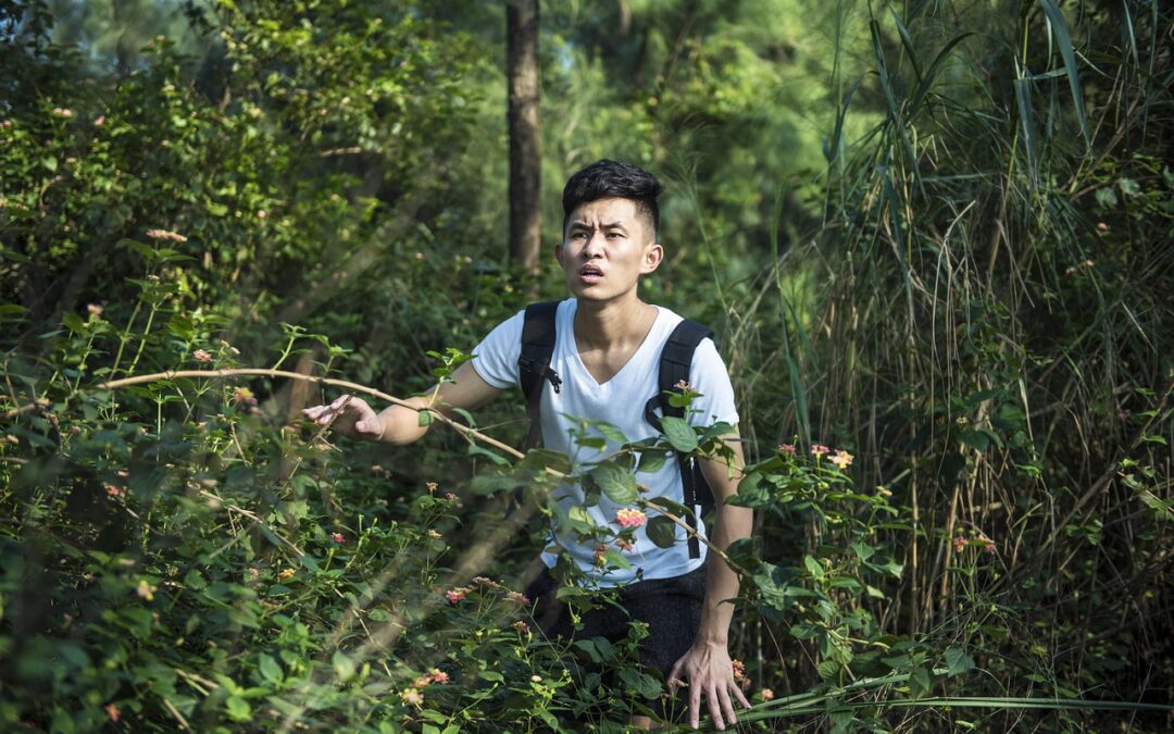 Lost?  How to Find Your Way Home