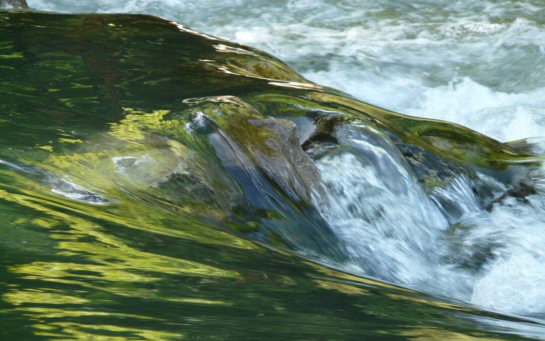 Fluid Fellowship