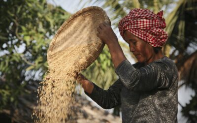 Quiet Resolve in the Face of Persecution