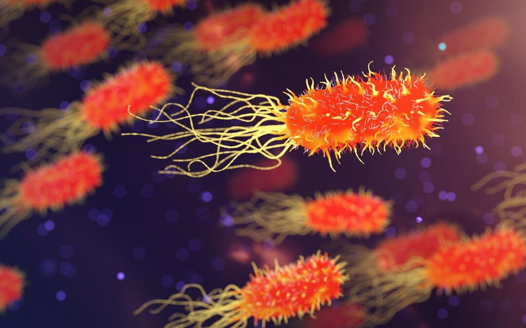 The Deadliest Disease on Earth?