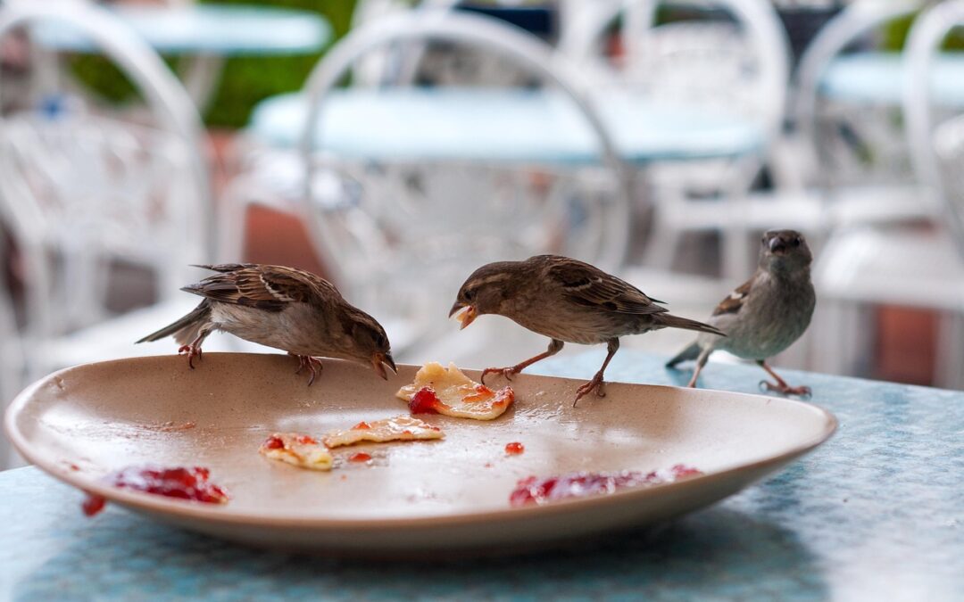 Valuable Leftovers
