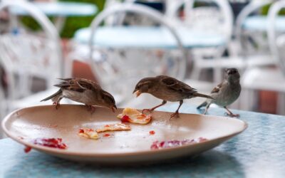 Valuable Leftovers