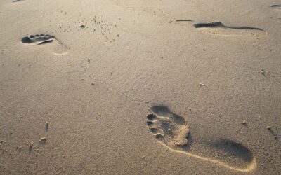 Three Phases in the Christian Life