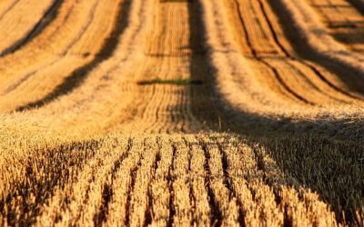 Australia’s Coming End Time Harvest