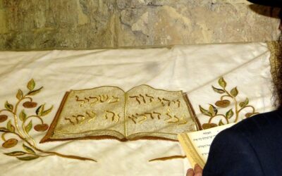 How Could David be a Priest as well as a King?