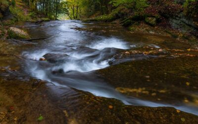 Things Change When the River of God Rises!