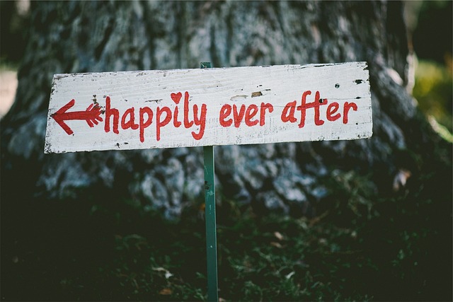 You Happy Ever After Life Begins Now