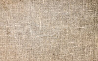 The Seamless Nature of Jesus