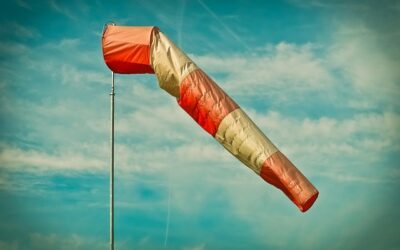 Some Points on Prophetic Direction