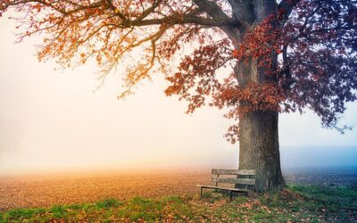 Resting in Christ’s Finished Work