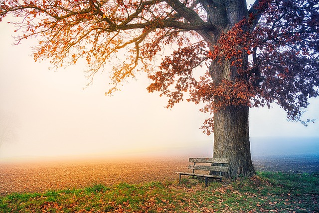 Resting in Christ’s Finished Work