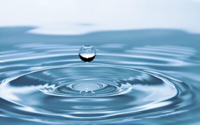 The Search for Personal Purity